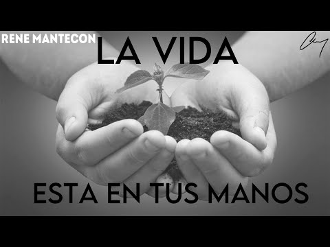 Imagen de previsualización de YouTube