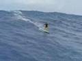 surf 's up