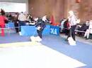 Sillamäe CAC dogshow, pekingese ring 19.04.2008 Sillamäe CAC dogshow, pekingese ring 19.04.2008
