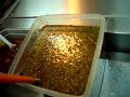 chimichurri chimichurri