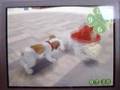 Nintendogs-Unlockabl