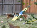 The Teeter - Part II