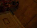 carabanchel   margen: boda rafa 3