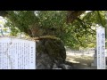 四国八十八箇所 第七十五番霊場 総本山善通寺