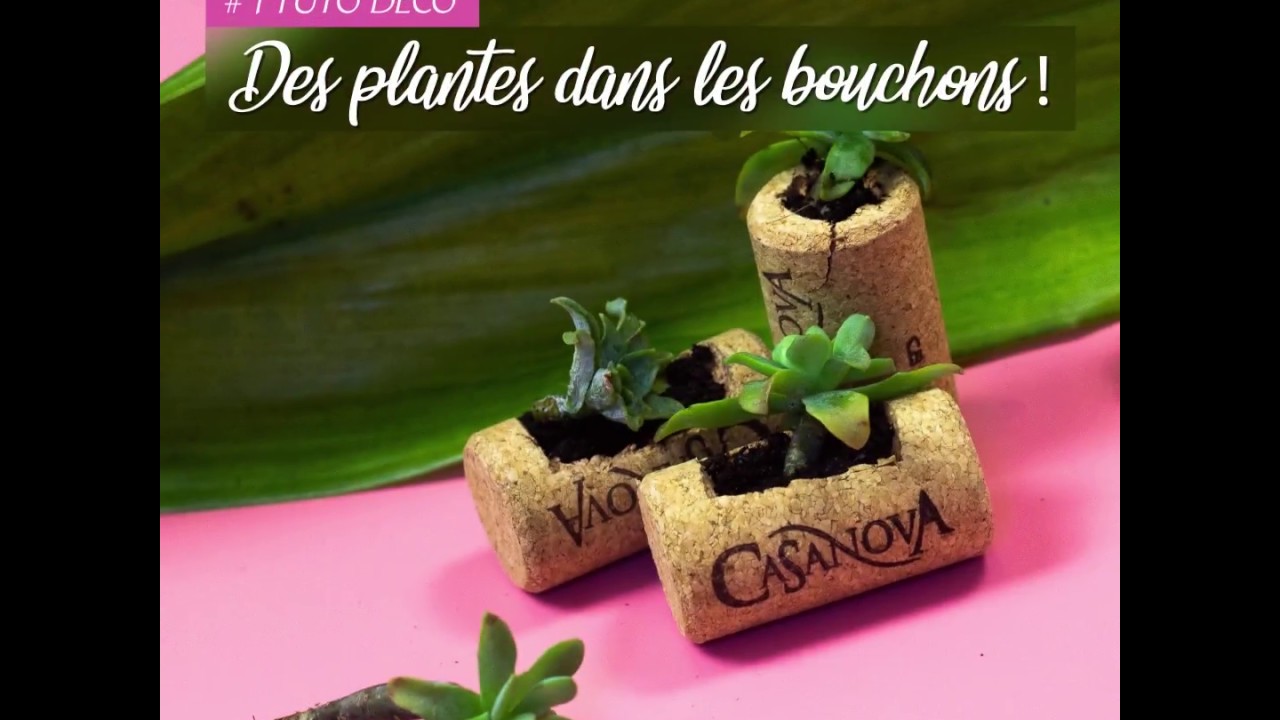 #diycasanova