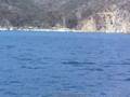 Catalina Island with Royal Carribean/ Monarch of The Seas #1