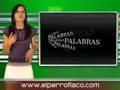 Telurica TV 281 - R2D2, viaje cuántico y famosas como son
