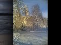 Sibelius: Andante festivo
