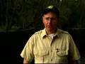 Lake Sturgeon: Great Lakes Reintroduction?