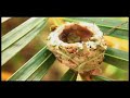 Colibr� Hummingbird