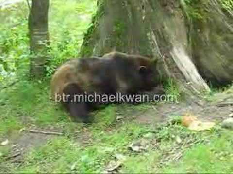 See video