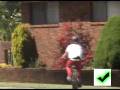 Froobs Wheelie Cool Wheelie Competition