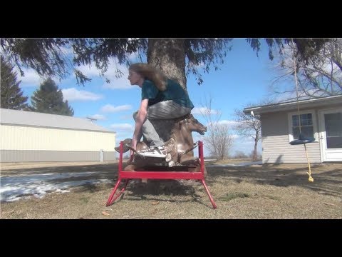 horses grand national