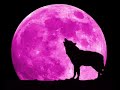 Mystic Merlin - Full Moon (1982)