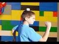 Lego Shorts