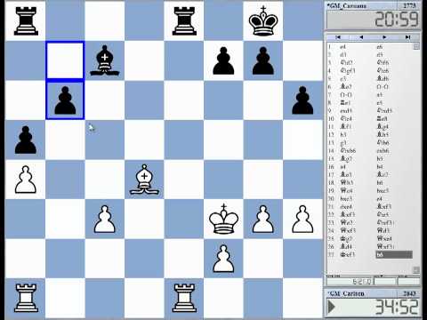 magnus carlsen