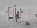 Newhart Ninja