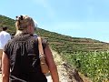 Quinta do Seixo - Sandeman