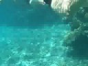 Snorkeling and Kayaking in Eilat
