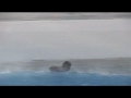 Typhoon Wasabi and the kamikaze kid. Adam Durrant Surfing Typhoon Wasabi and the kamikaze kid. Adam Durrant Surfing