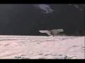videos de Flying Zenair 701 on skis with full reverse propeller