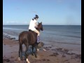 Lossie Beach 09