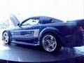 Mustangs
