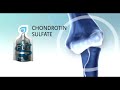 Agel FLX - www.ageltotal.com