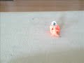 blob wars blob wars
