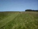 riding two quads and a gocart