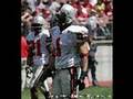 The 2007 Ohio State Buckeyes : Dont Rebuild / Reload PREVIEW