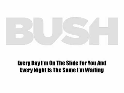 bush