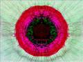 global deejays ft technotronic - get up (ministry) 2007
