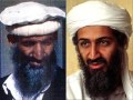 Funny Look Alikes