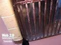 WEB 2.0 TV  Furry World: Toronto Humane Society - Dogs