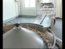 JH-880-2 Lollipop Flow Packing Machine