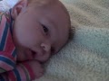 Gill video 3