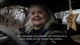 Rosie's YouTube Channel