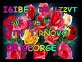 SSTV Slow Scan TeleVision HF I6IBE Ivo Pratola Peligna