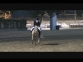 Cougaran+ Winning Sport Horse Under Saddle