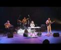 Corky's Cats - Inane. From the album 'It's A Cats Life'.Enjoy.