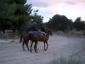 My First Endurance Ride