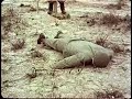 1955 Nevada Color Atom Bomb Test