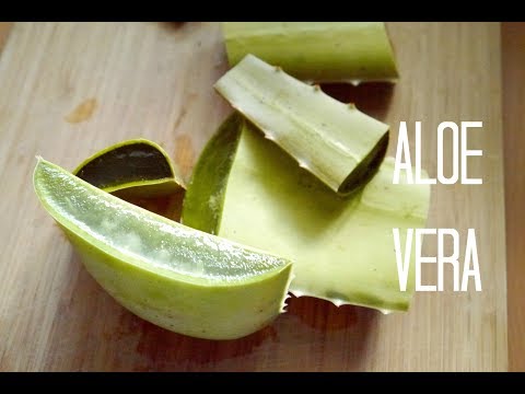 Kosmetik aus Aloe Vera ! |Leave in,  Maske , Lotion