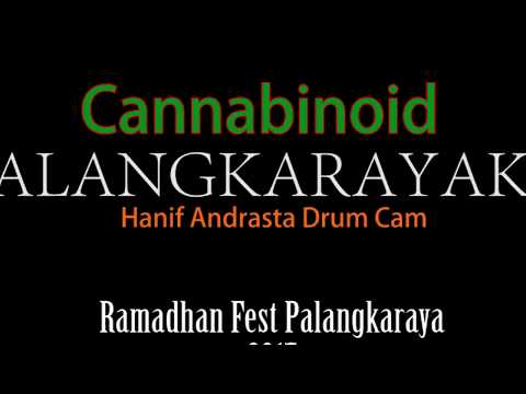 Cannabinoid - Palangkarayaku (Ramadhan Fest Palangkaraya 2017) (Hanif Andrasta Drum Cam) Cannabinoid - Palangkarayaku (Ramadhan Fest Palangkaraya 2017) (Hanif Andrasta Drum Cam)