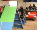 10.02.2008 ahk Rastatt A2 Small