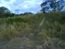 Riding Hidden Track - Northern Beaches