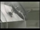 Coast Guard Nabs Cocaine Smugglers Coast Guard Nabs Cocaine Smugglers