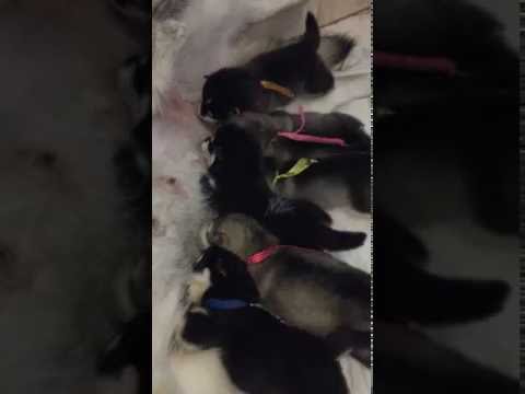 YouTube Preview Image