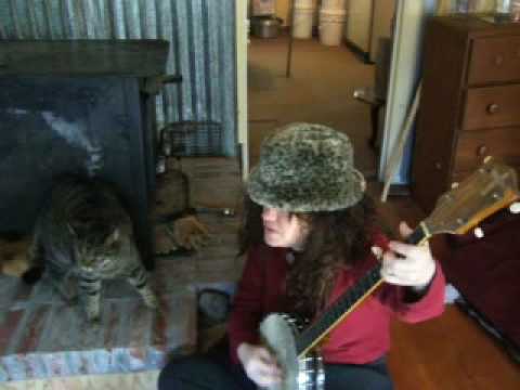 Cant you hear me callin  - Melismatic Tabby